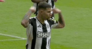 Apr-14-2025 01-08-57.gif